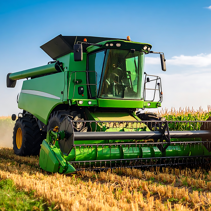 La gestione delle colture include anche il monitoraggio costante per prevenire infestazioni e la pianificazione del raccolto