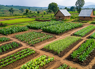 Tutela efficace della biodiversità agricola